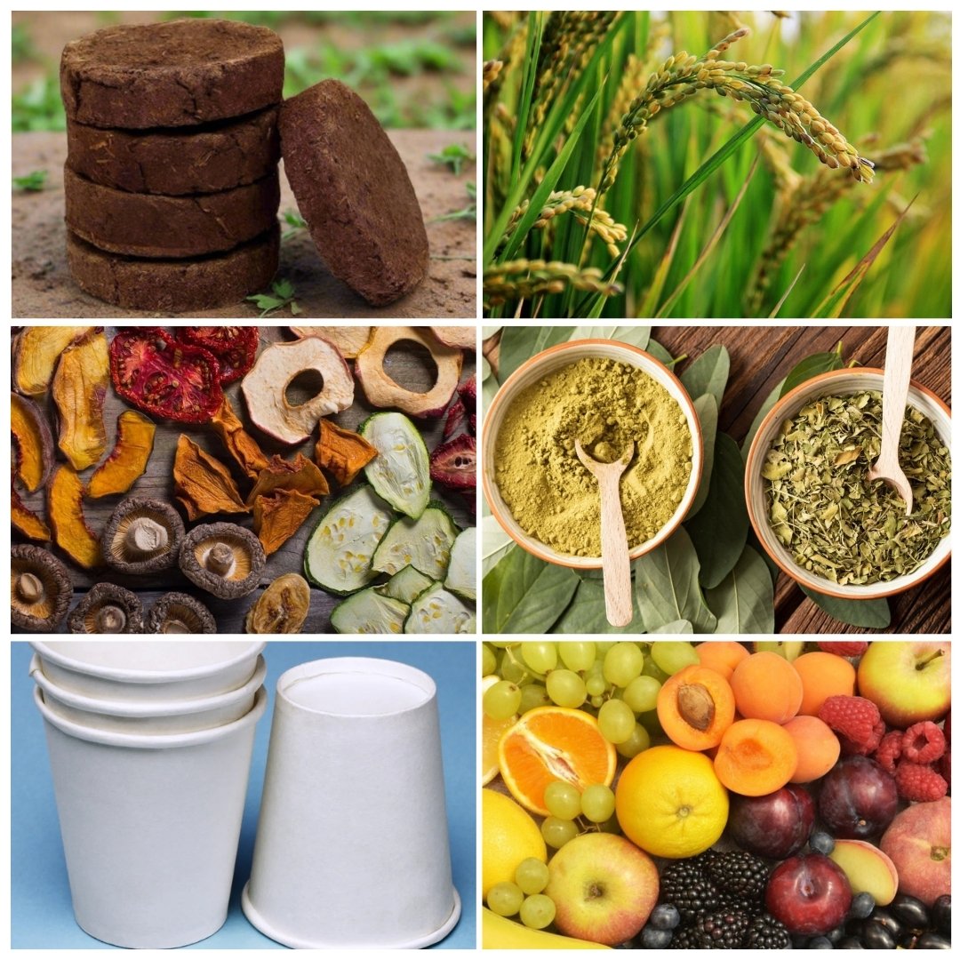 Mannat Hindustan Bio Organic Pvt Ltd