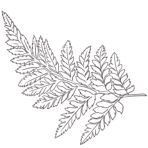 Mannat Hindustan Bio Organic Pvt Ltd