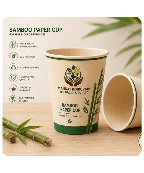 Bamboo Paper Cups