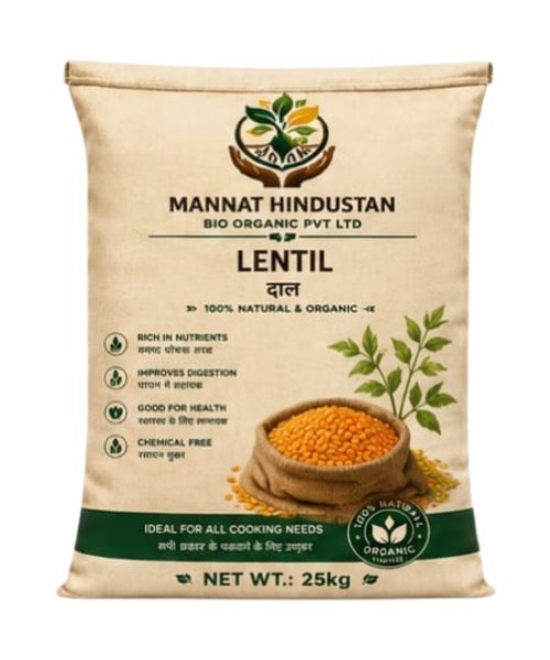 Lentil