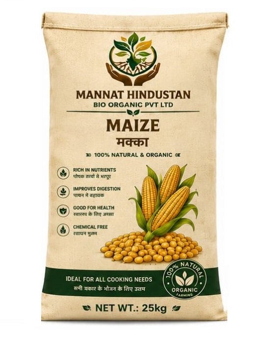 Maize