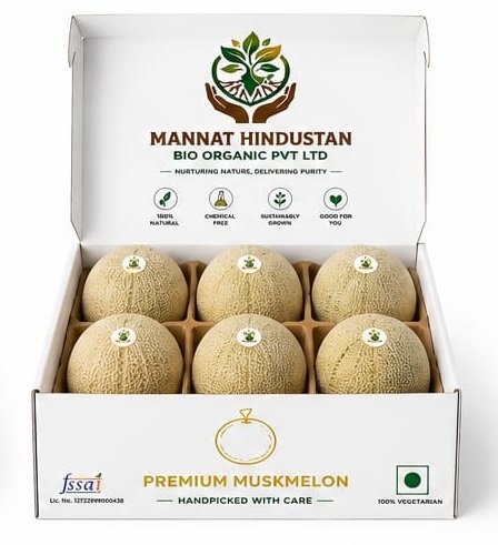 Muskmelon