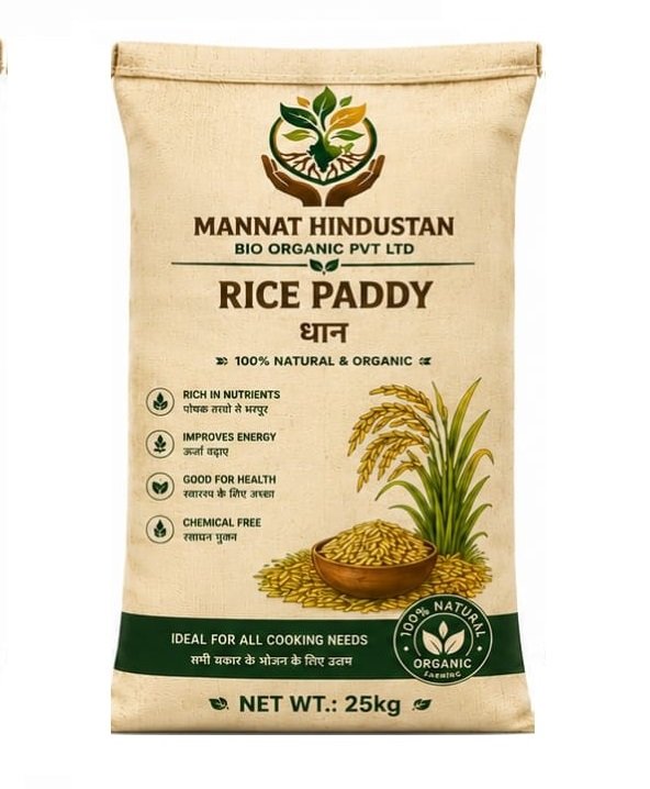 Rice Paddy