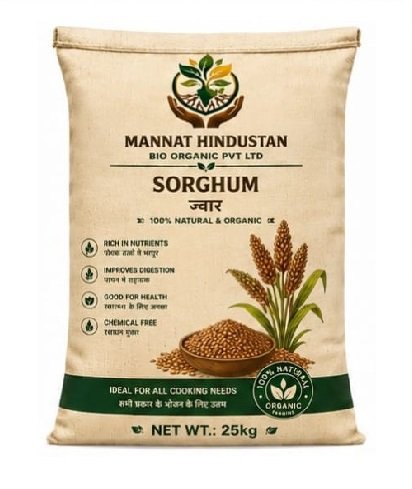 Sorghum